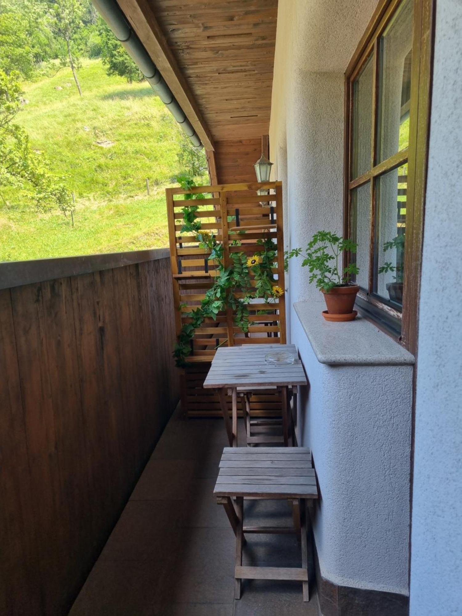 Apartments Pod Macesnovo Streho Solčava エクステリア 写真