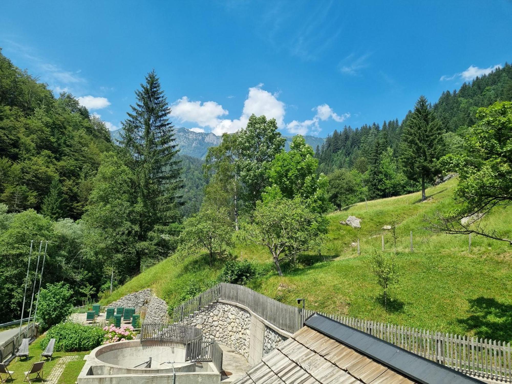 Apartments Pod Macesnovo Streho Solčava エクステリア 写真