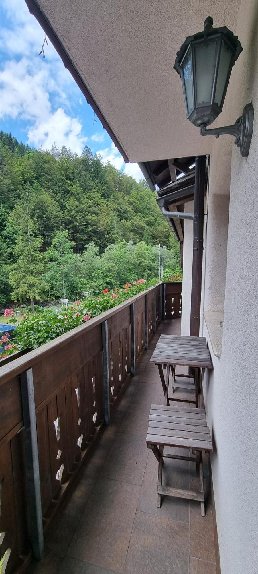 Apartments Pod Macesnovo Streho Solčava エクステリア 写真