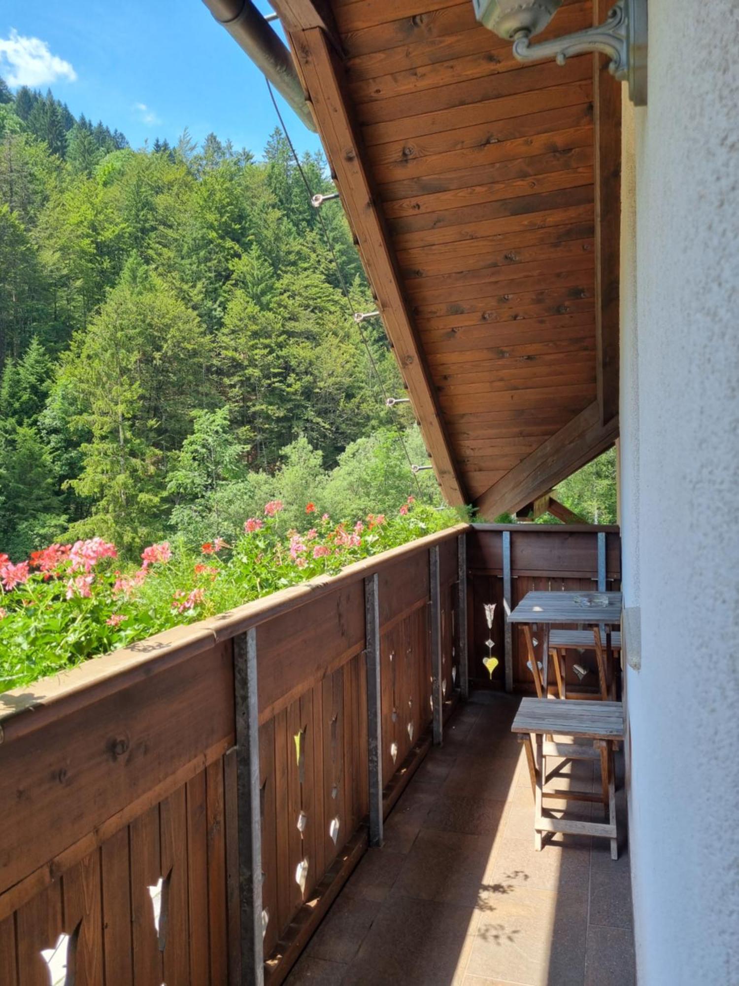 Apartments Pod Macesnovo Streho Solčava エクステリア 写真