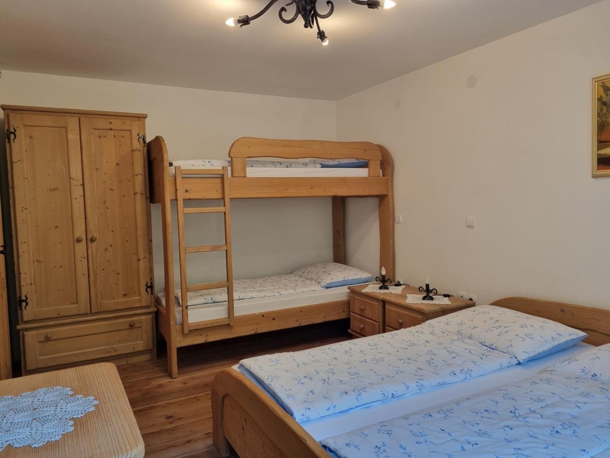 Apartments Pod Macesnovo Streho Solčava エクステリア 写真