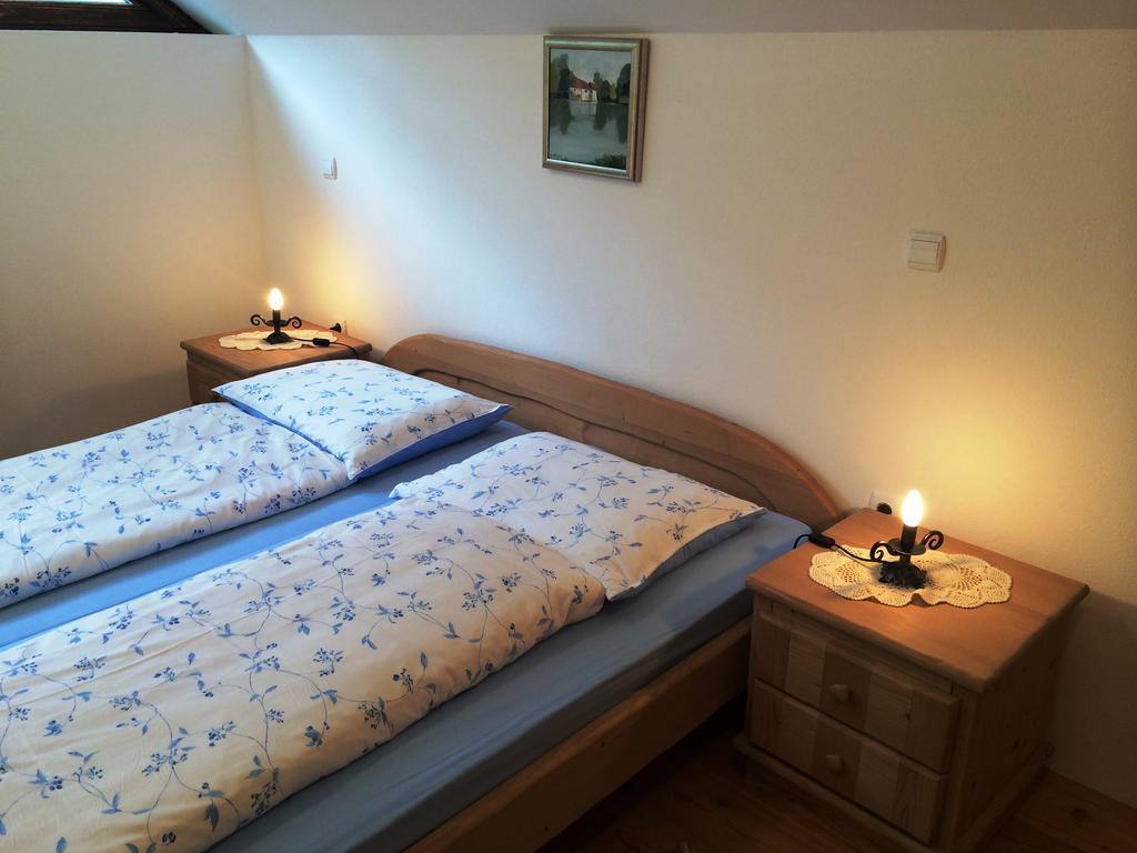 Apartments Pod Macesnovo Streho Solčava エクステリア 写真