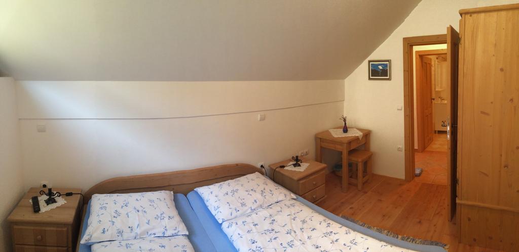 Apartments Pod Macesnovo Streho Solčava エクステリア 写真