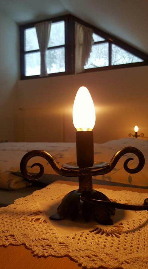 Apartments Pod Macesnovo Streho Solčava エクステリア 写真