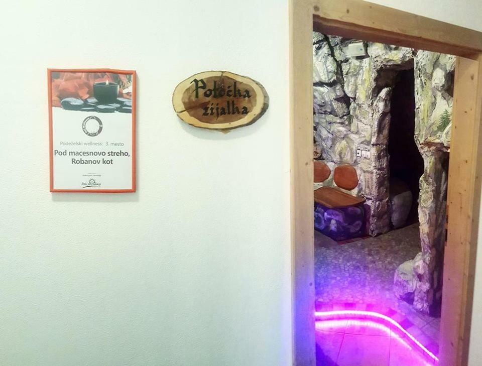 Apartments Pod Macesnovo Streho Solčava エクステリア 写真